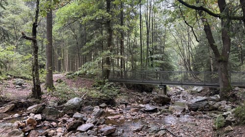 Struffeltroute