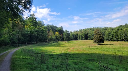 Weserbergland-Weg Etappe 4:  Bad Karlshafen - Schönhagenn