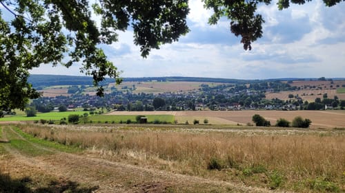 Weserbergland-Weg Etappe 4:  Bad Karlshafen - Schönhagenn
