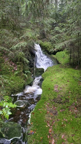 Bad Wildbad - Große Wiese - Wildsee