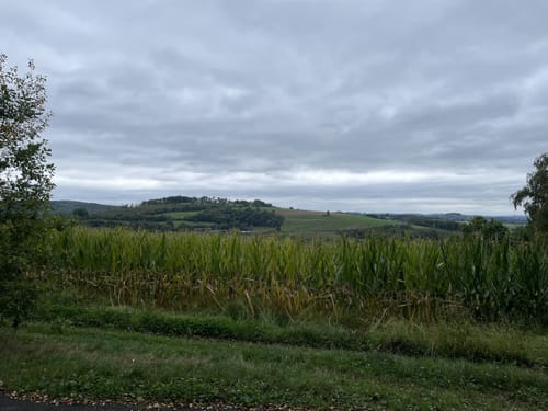 Natursteig Sieg Etappe 11: Wissen - Scheuerfeld