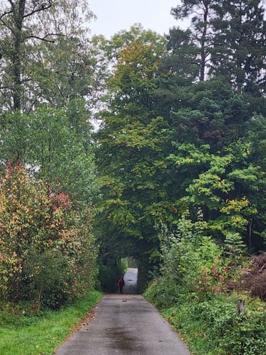 König-Ludwig-Weg Etappe 2: Dießen - Paterzell