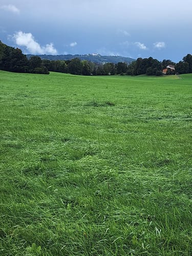 König-Ludwig-Weg Etappe 3: Paterzell - Hohenpeißenberg