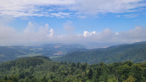 Weserbergland-Weg Etappe 7: Stadtoldendorf - Bodenwerder