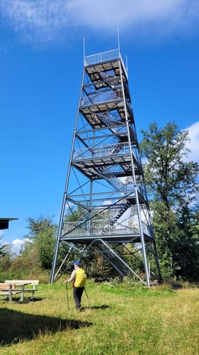 Weserbergland-Weg Etappe 7: Stadtoldendorf - Bodenwerder