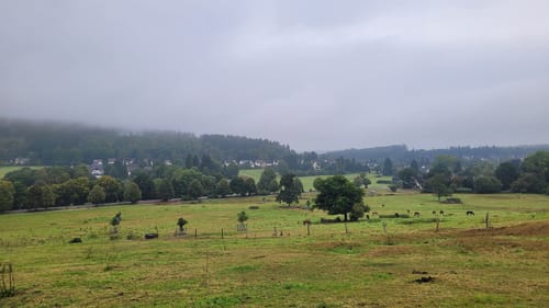 Neuhaus im Solling - Stadtoldendorf