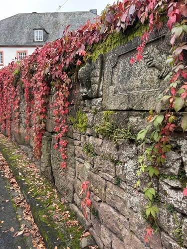 Durch die Kyllburg Wandereifel
