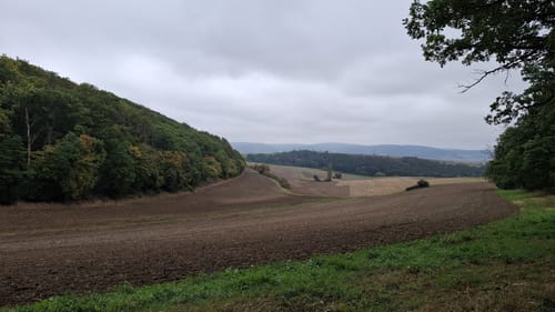 Mehler Holz-Route