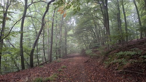 Mehler Holz-Route