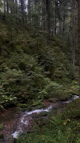 Felixpfad auf dem Flößerpfad