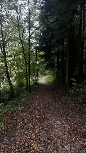 Felixpfad auf dem Flößerpfad