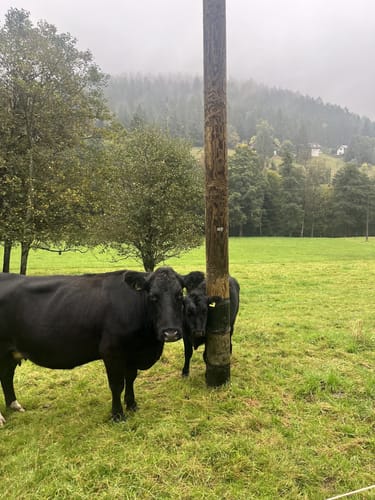 Felixpfad auf dem Flößerpfad