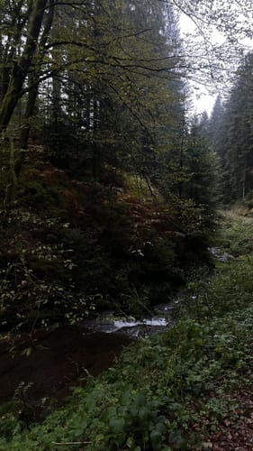 Felixpfad auf dem Flößerpfad