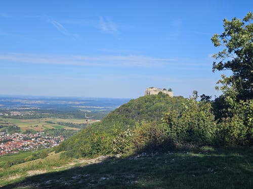HOCHGEHBERGE I "hochgehkeltert" (Premiumwanderweg)