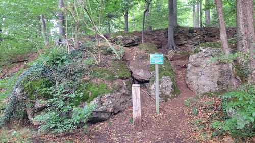 Welliehausen - Steinbergen