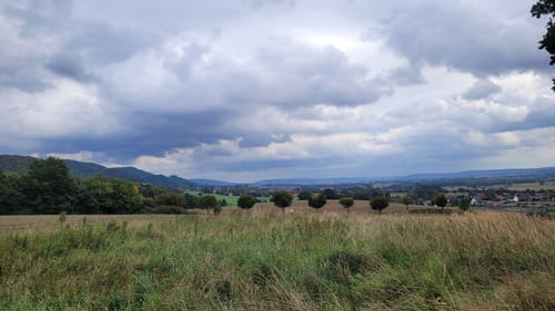 Welliehausen - Steinbergen
