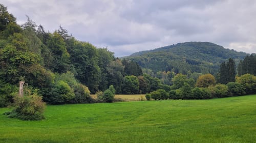 Welliehausen - Steinbergen