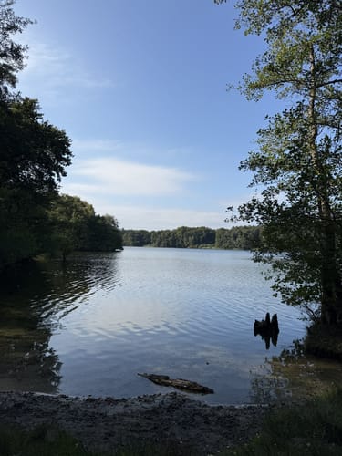 Rund um den Großensee