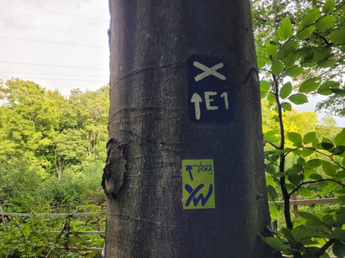Weserbergland-Weg Etappe 10: Emmerthal - Hameln