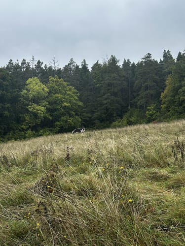 Friedrich-Fröbel-Wanderweg