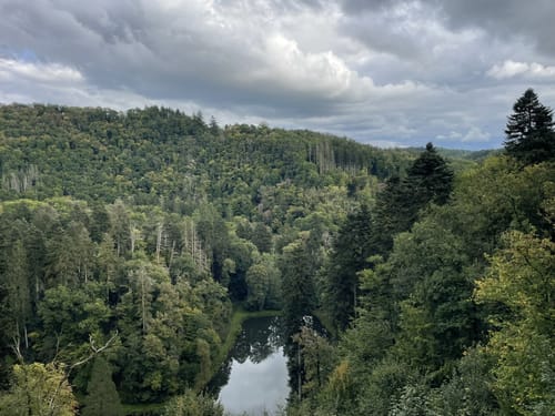 Vulkaneifel-Pfad: Grafschaft-Pfad