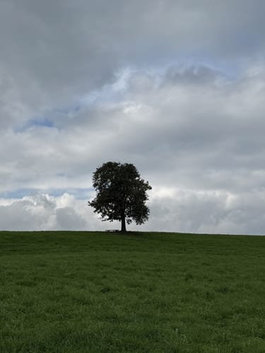Rundgang um den Abtsdorfer See