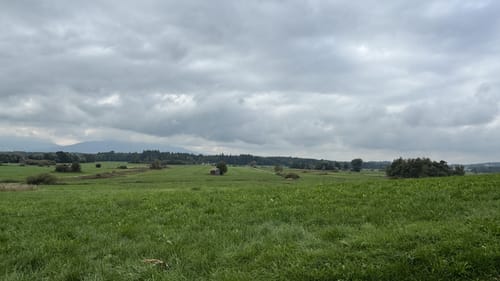 Rundgang um den Abtsdorfer See
