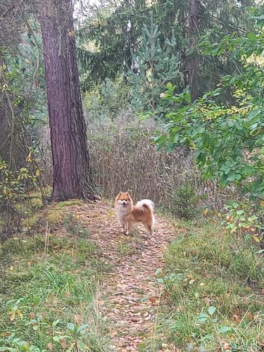 Kleine Johannisberg Runde