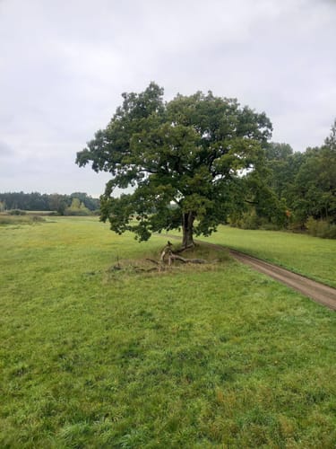 Kleine Johannisberg Runde