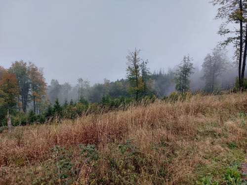 Masserberg, Kleiner Sauberg, Werraquell-Hütte
