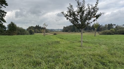Rundgang um den Abtsdorfer See