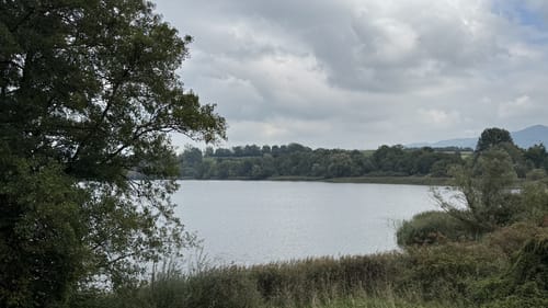 Rundgang um den Abtsdorfer See