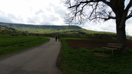 Dreifürstensteig (Premiumwanderweg)