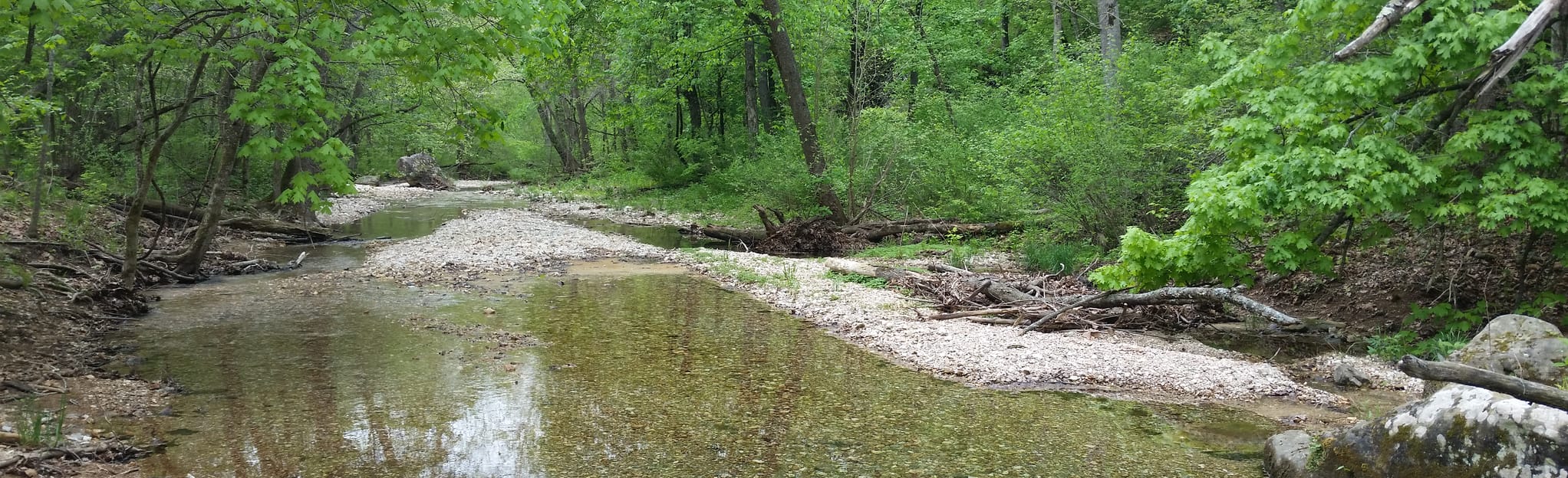 Kettle Falls Trail, Arkansas 480 Reviews, Map AllTrails