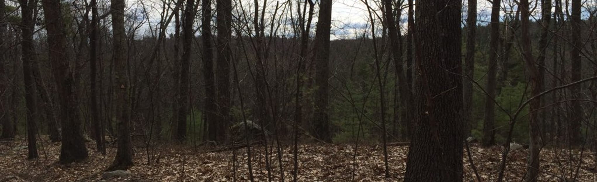 Bolton Lime Quarry and Kiln Loop 329 Fotos Massachusetts AllTrails