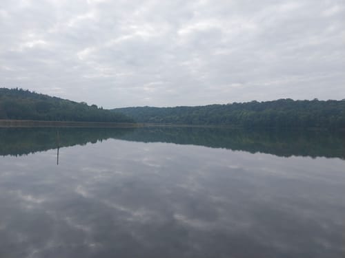 Reihersee ab Burg Gebhardshagen