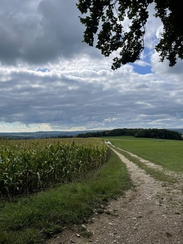 Eifelschleife Freilinger See