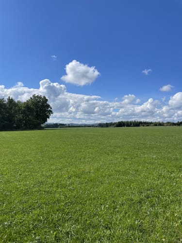 Eifelschleife Freilinger See