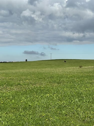 Eifelschleife Freilinger See