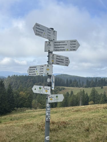 Hinterdorf - Hebelhof - Feldberg