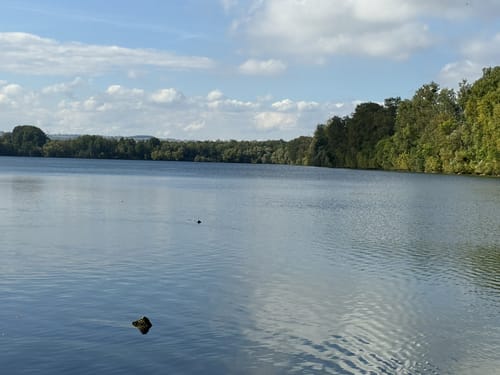 Durch Zuelpich und zum Neffelsee