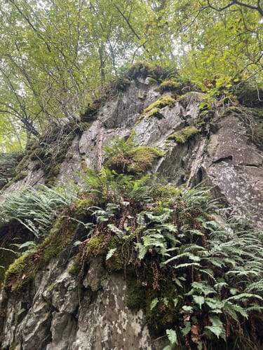 Rund um Bad Bertrich