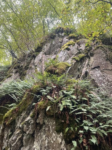 Rund um Bad Bertrich