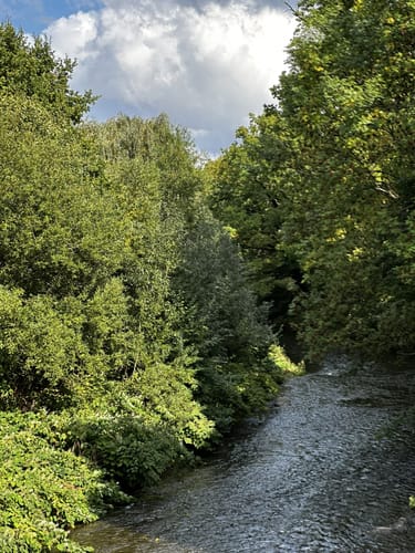 Chemnitz - Schloßteich - Fuchsberg