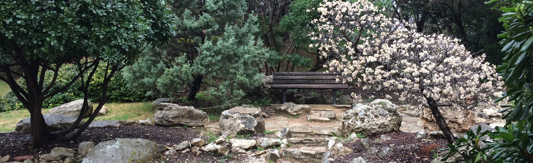 Zilker Botanical Gardens, Texas 117 Reviews, Map AllTrails