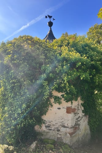 Von Saarburg auf den Warsberg