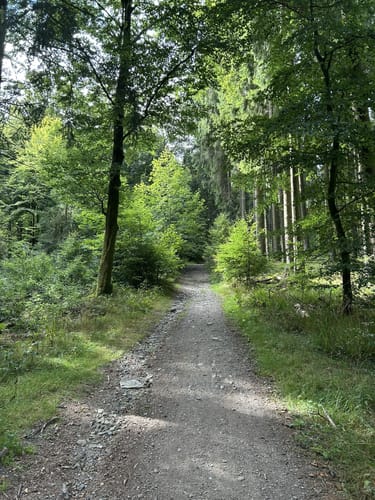 Uplandsteig (Fernwanderweg)