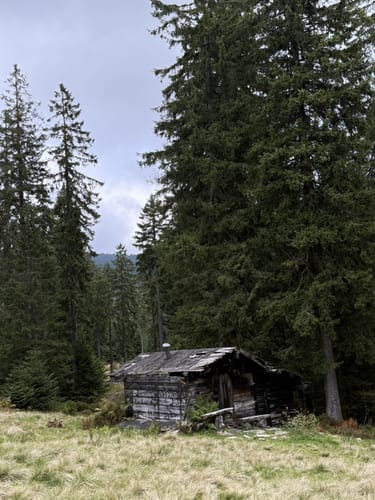 Arberschutzhaus nach Bodenmais