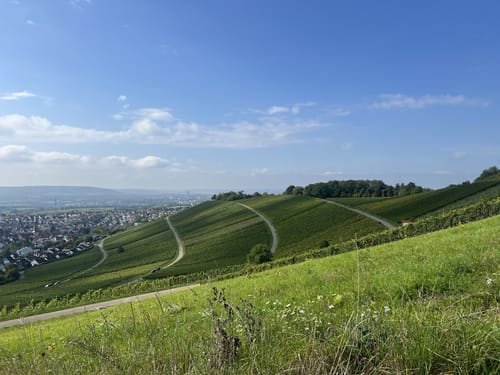 Hörnleskopf - Skulpturenpfad
