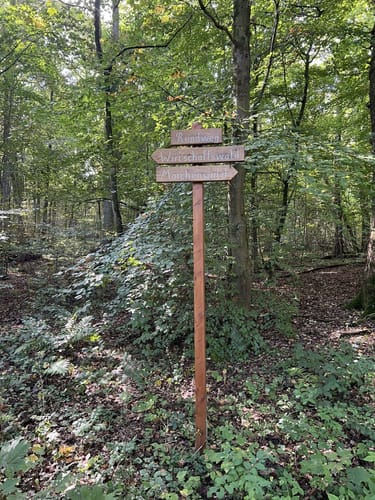 Märchenwald Einbeck und Wasserturm